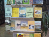 “Тут Радзімы маёй пачатак.”&nbsp;(Поставы)