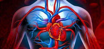 Никотин негативно действует на память