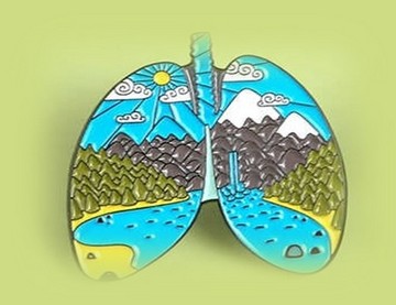 Что принято называть «лёгкими планеты»