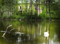 ПЦПИ района