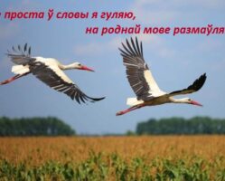 Не проста ў словы я гуляю, на роднай мове размаўляю! № 16