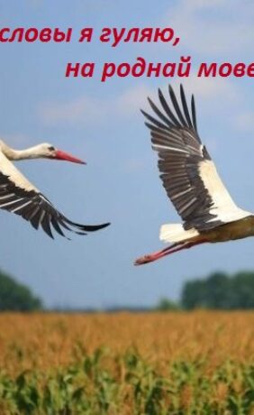Не проста ў словы я гуляю, на роднай мове размаўляю! № 19