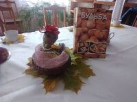 Познавательная программа «Картофельный банкет»