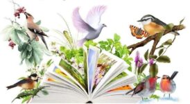 Международный день птиц