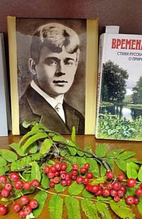 Поэтический нон-стоп «И нет конца есенинскому чуду»