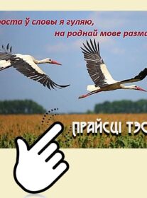 Не проста ў словы я гуляю, на роднай мове размаўляю! № 20