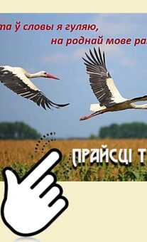 Не проста ў словы я гуляю, на роднай мове размаўляю! № 20