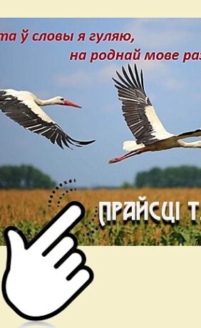 Не проста ў словы я гуляю, на роднай мове размаўляю! № 20