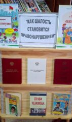 «Как шалость становится правонарушением»