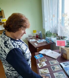 Путешествие “Васильковая страна”